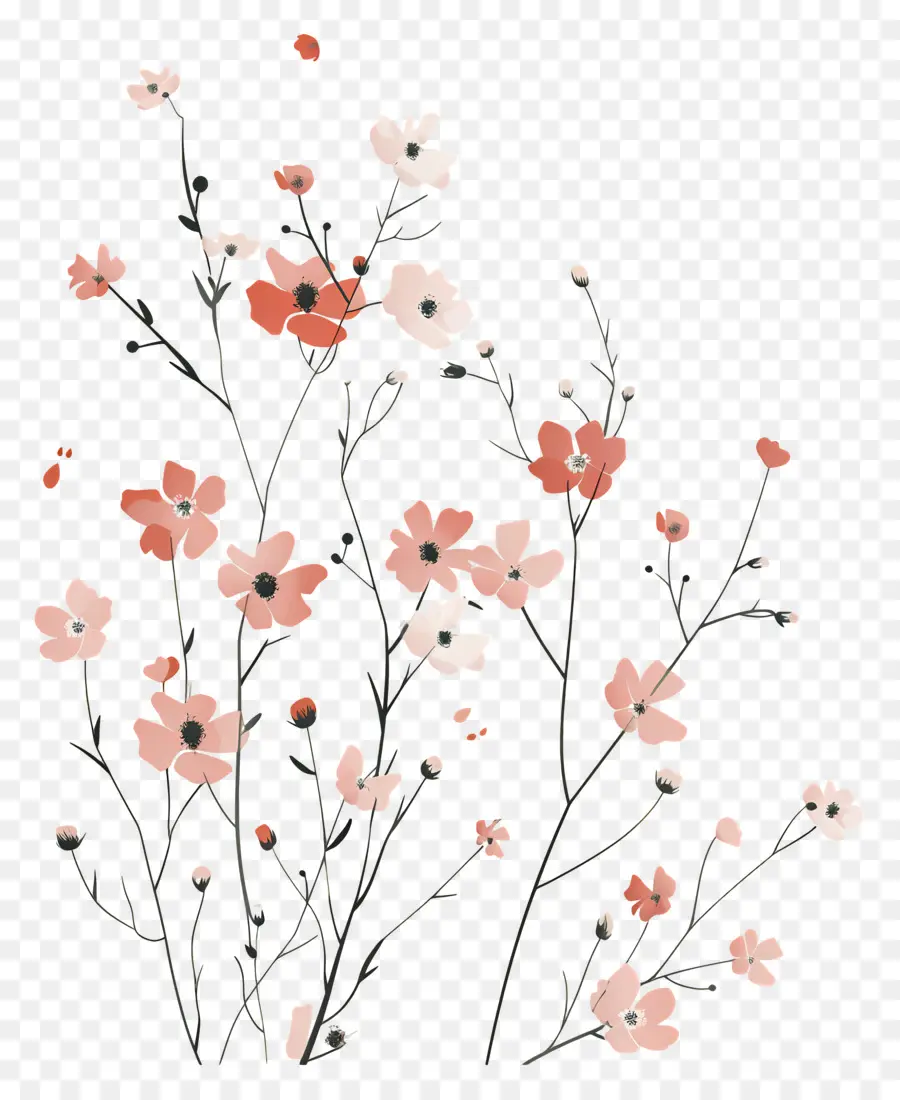 Fond De Fleurs，Fleurs De Cerisier PNG