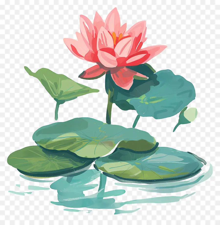 Étang De Lotus，Fleur De Lotus PNG