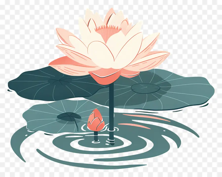 Étang De Lotus，Fleur De Lotus PNG