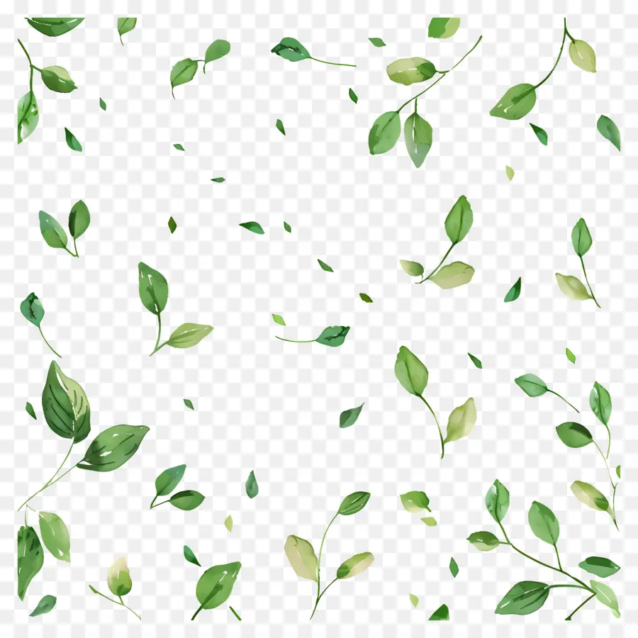 Fond Vert，Feuilles Vertes PNG