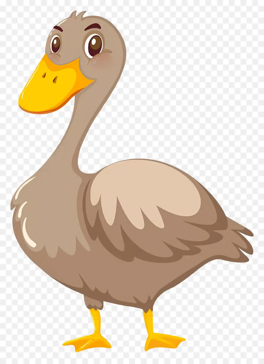 Canard De Dessin Animé，Canard PNG