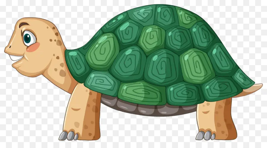 Tortue De Dessin Animé，Reptile PNG