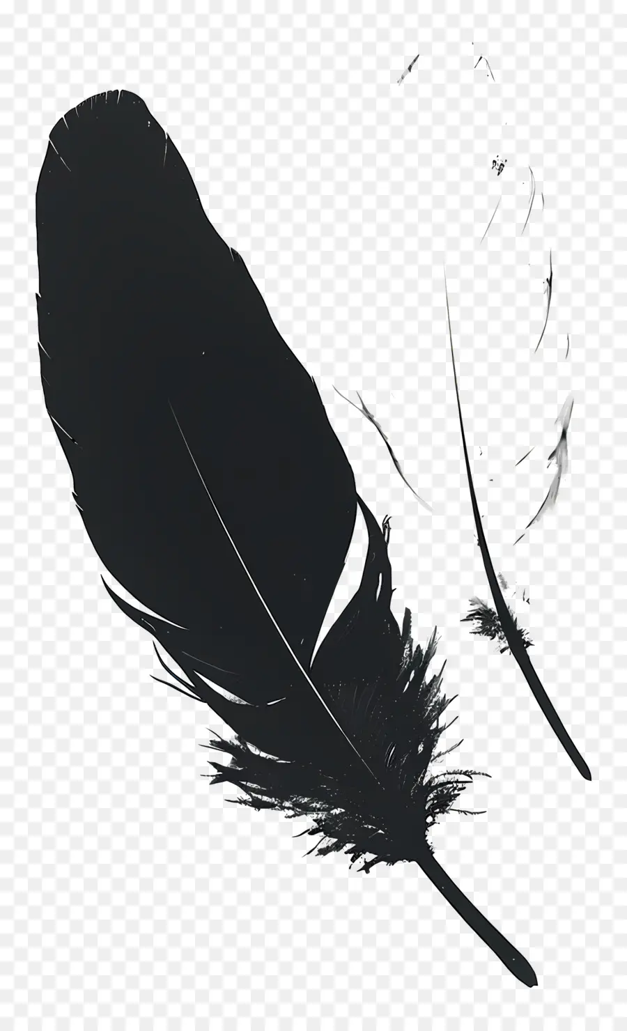 Plume，Noir PNG