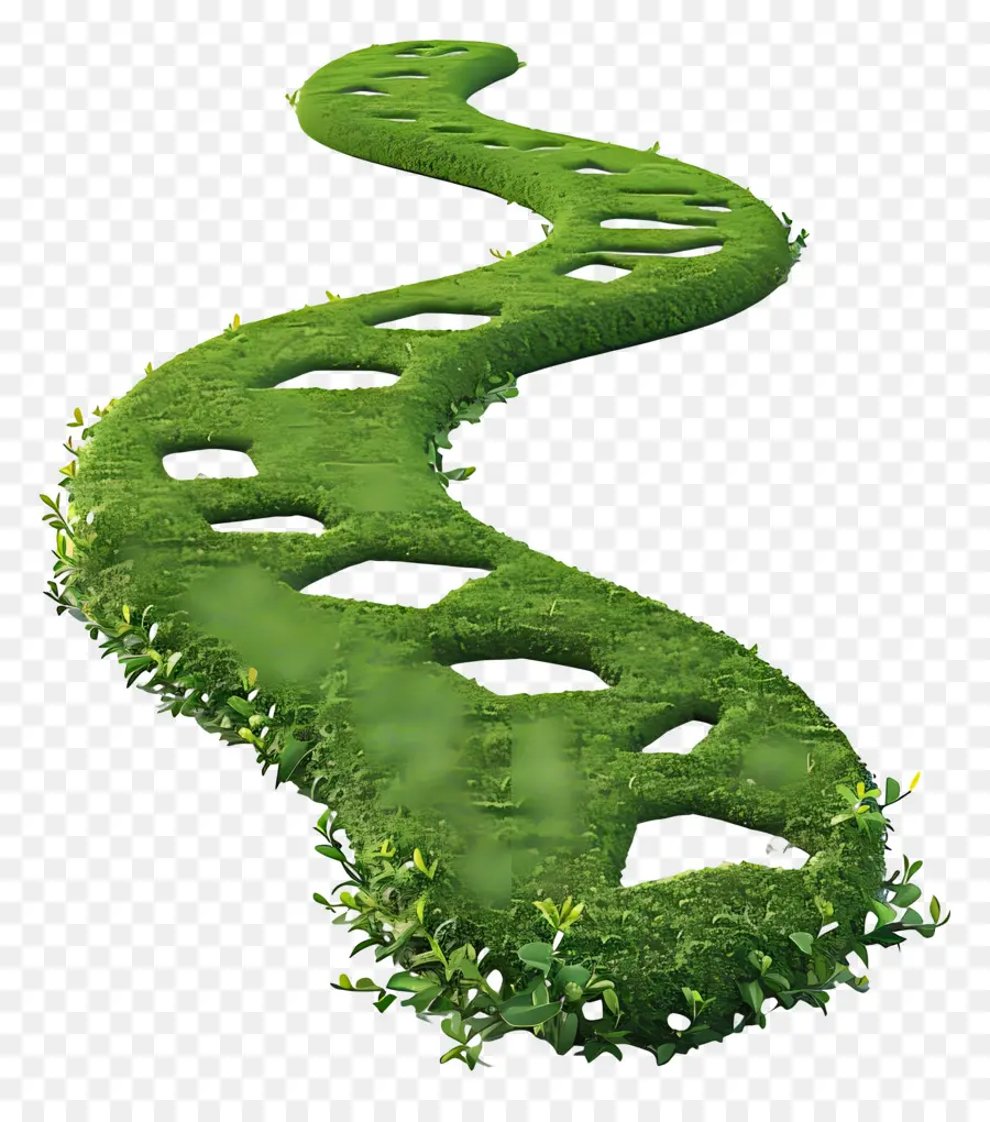 Chemin，Voie Verte PNG