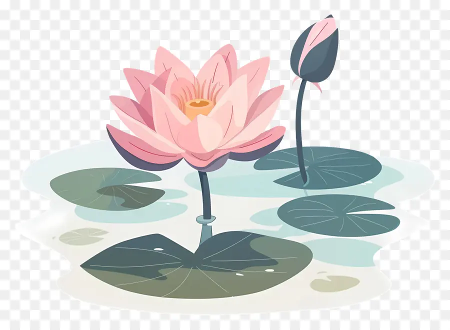 Étang De Lotus，Fleur De Lotus PNG