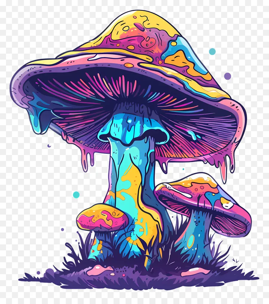 Champignon，Champignons Colorés PNG