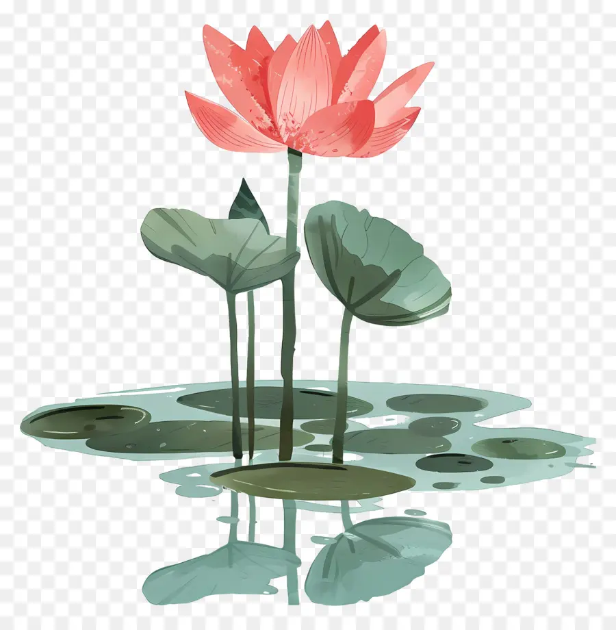 Étang De Lotus，Fleur De Lotus PNG