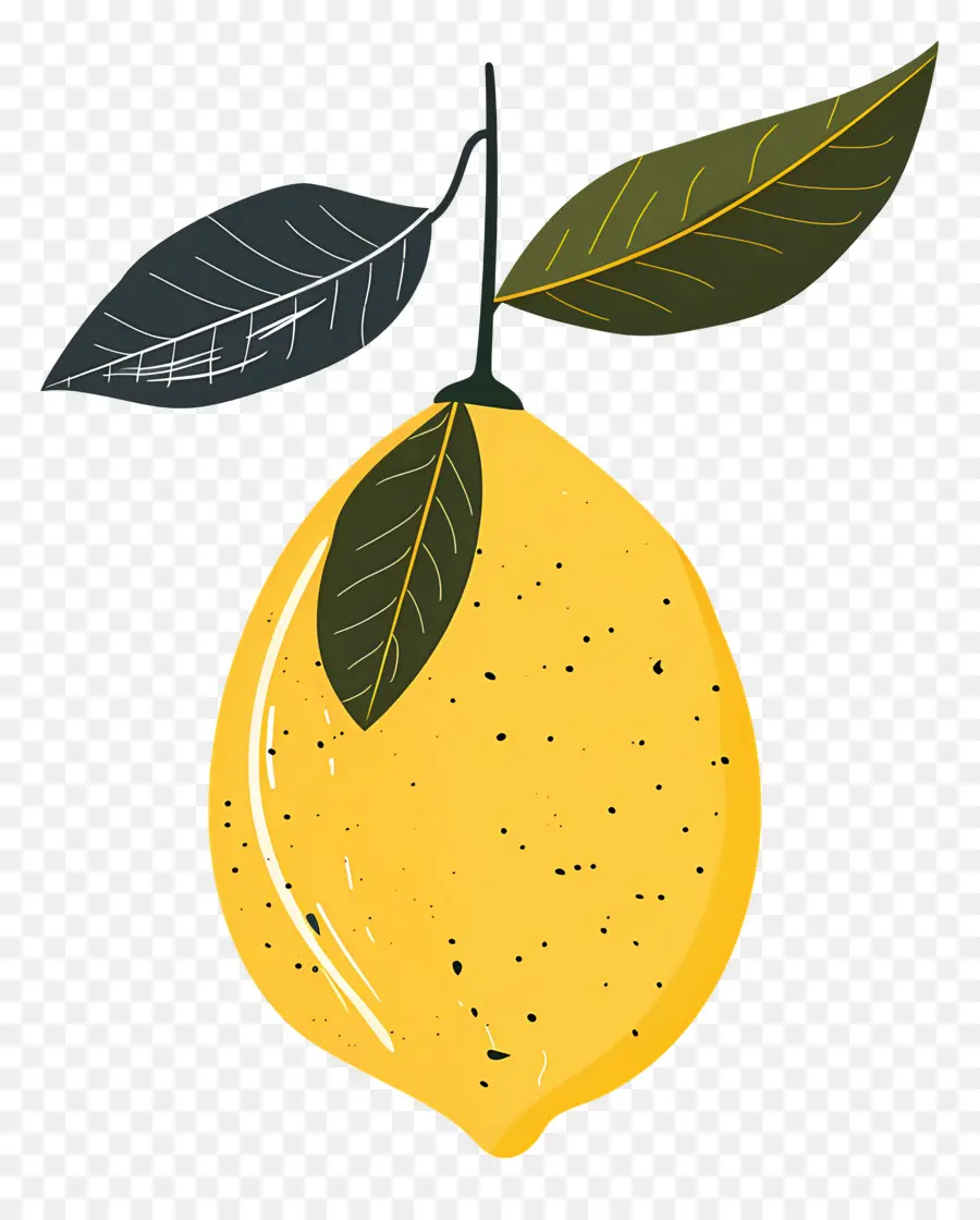 Citron，Feuilles PNG