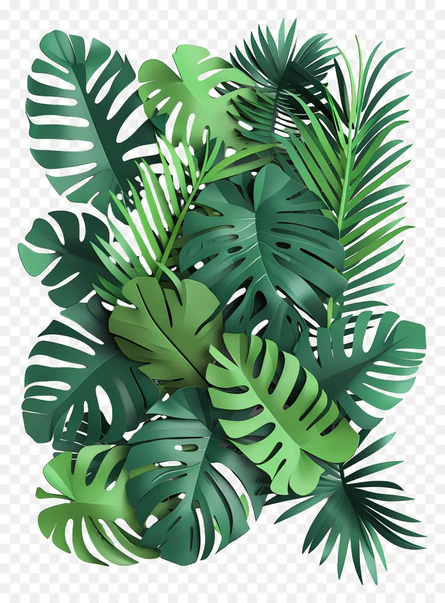 Jungle，Feuilles Tropicales PNG