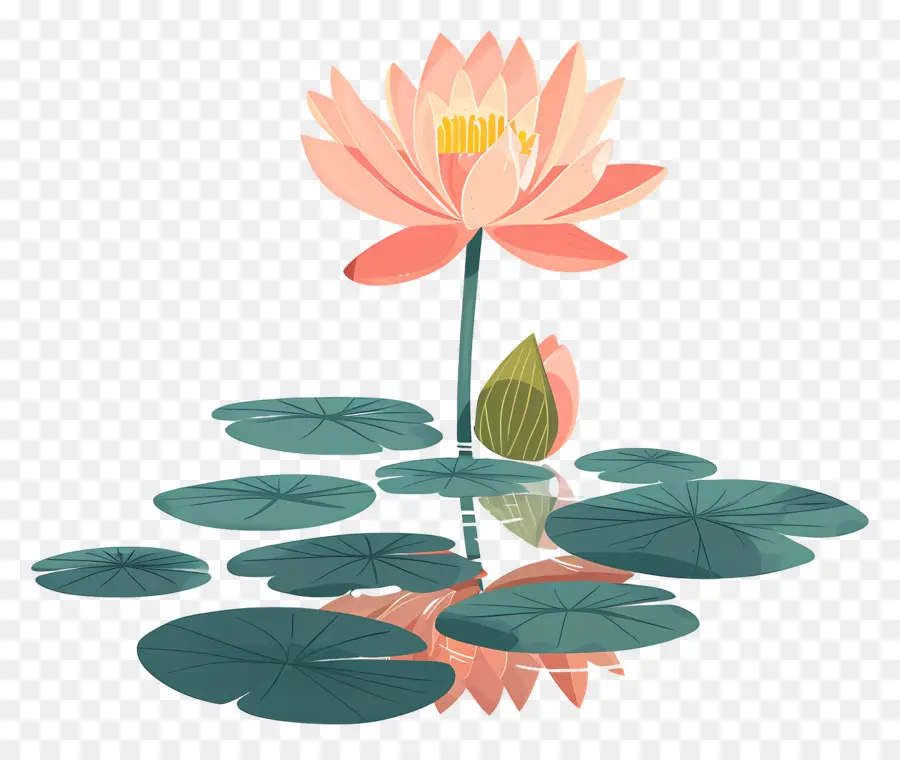 Étang De Lotus，Fleur De Lotus PNG