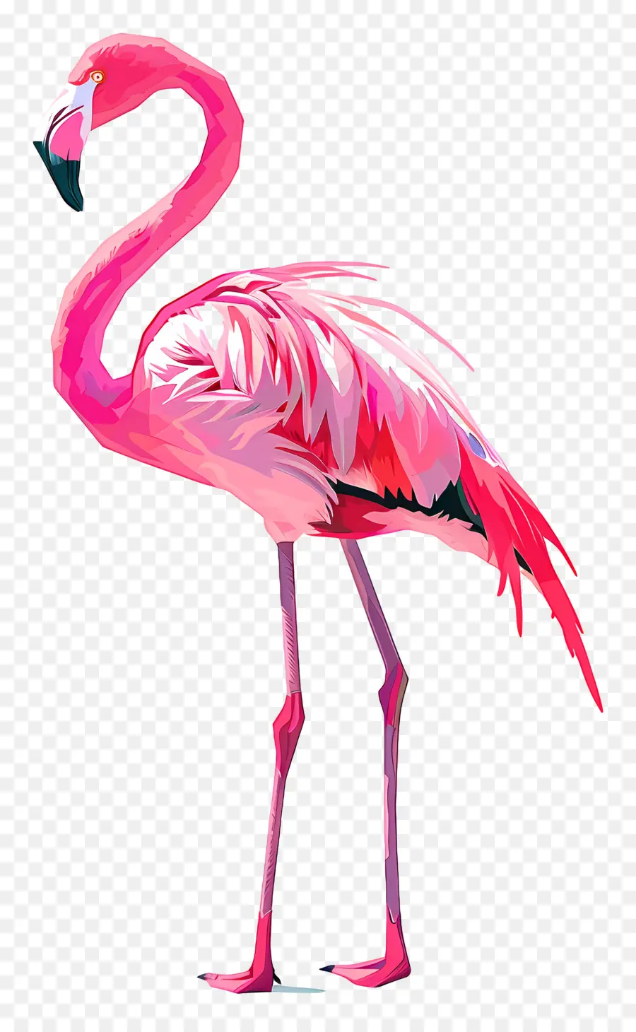 Flamant，Flamant Rose PNG