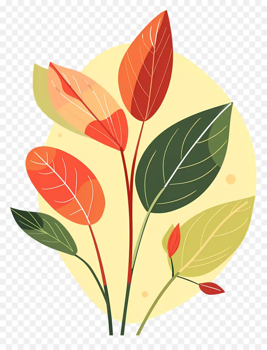 Feuilles，Feuilles Colorées PNG