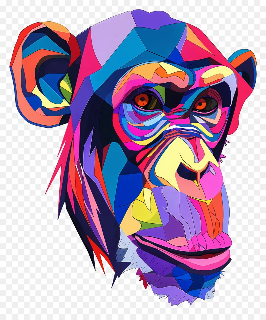 Visage De Babouin，Singe Coloré PNG