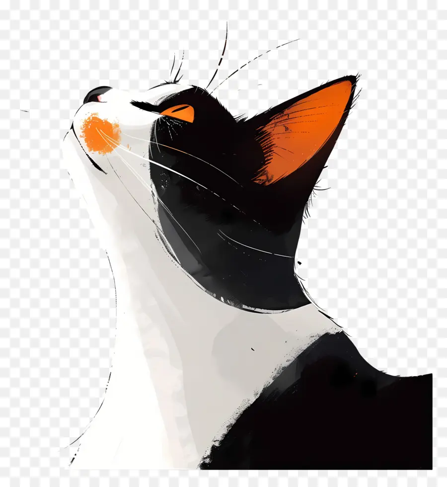 Chat，Chat Levant Les Yeux PNG