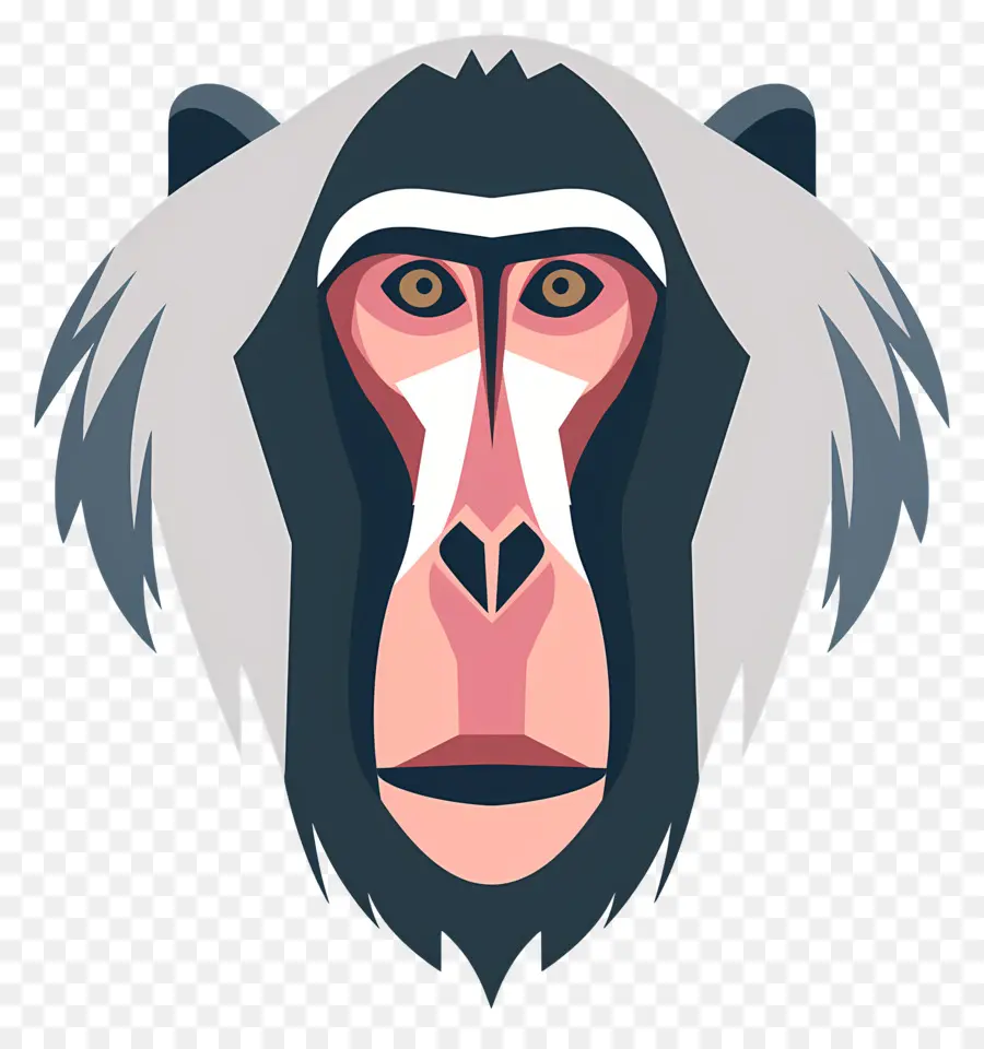 Visage De Babouin，Mandrill PNG