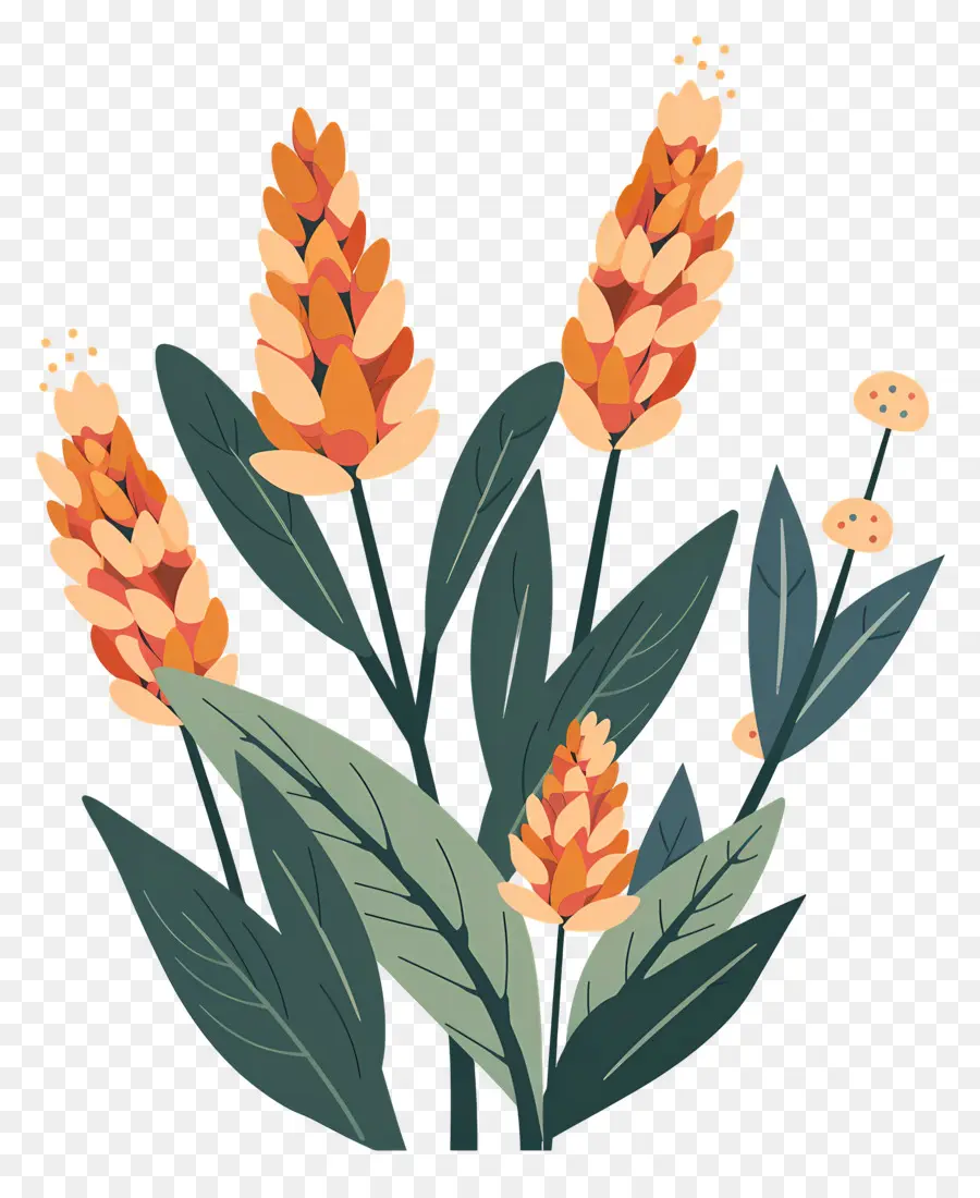 Usine，Fleurs PNG