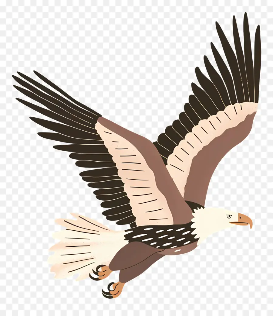 Aigle，Aigle Volant PNG