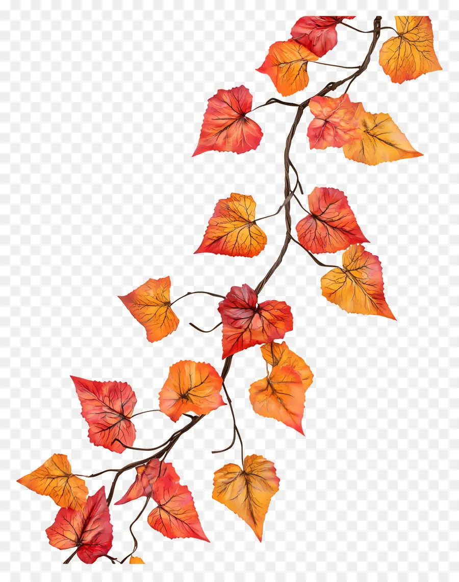 Guirlande D'automne，Feuilles D'automne PNG