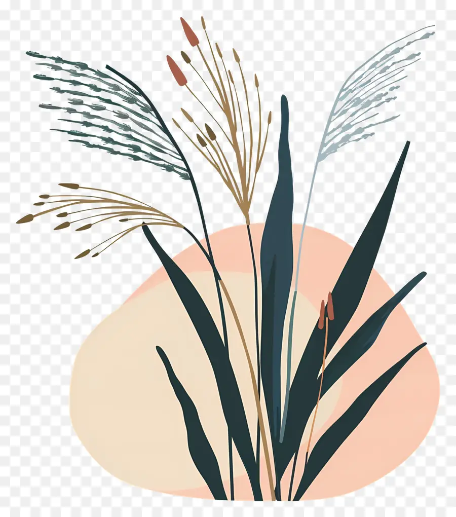 Riz，Plantes Abstraites PNG