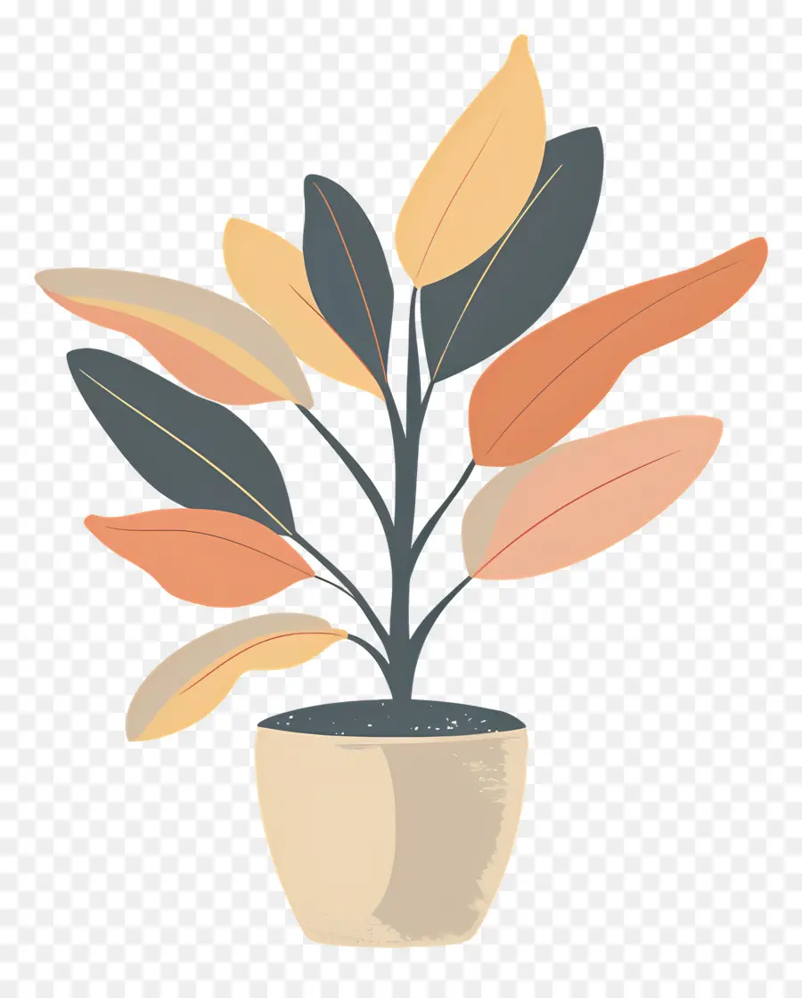 Usine，Plante En Pot PNG