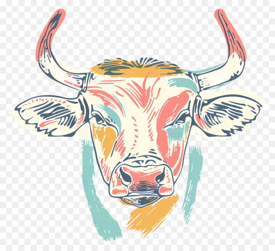 Visage De Taureau，Vache Colorée PNG