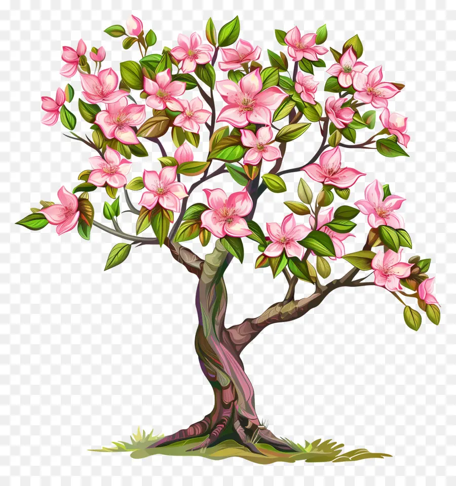 Arbre En Fleurs，Fleurs PNG