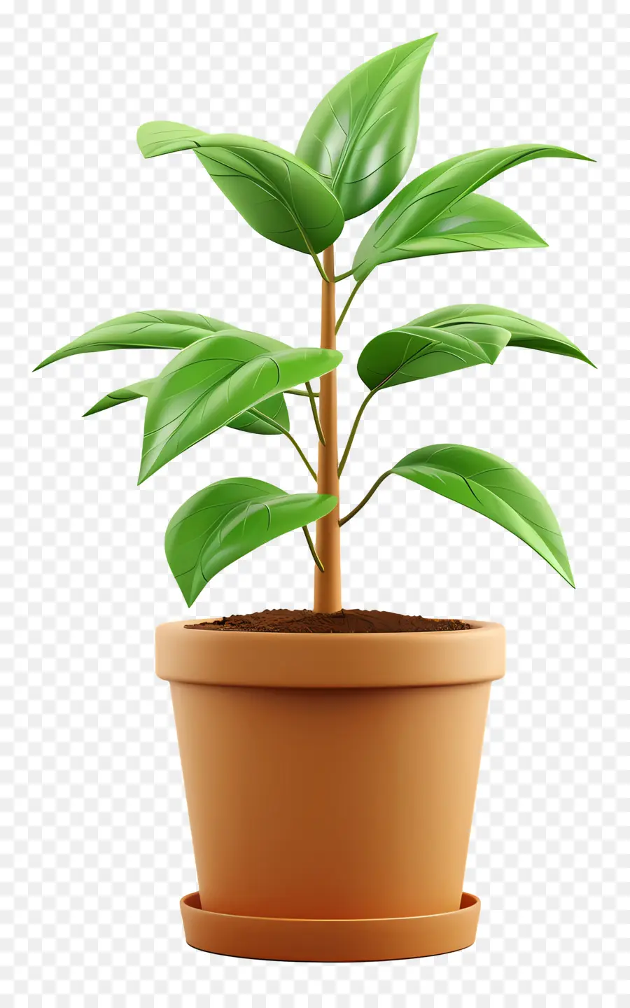 Plante En Pot，Vert PNG