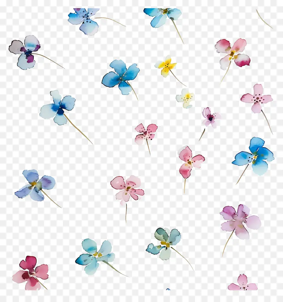 Petites Fleurs，Fleurs Aquarelles PNG