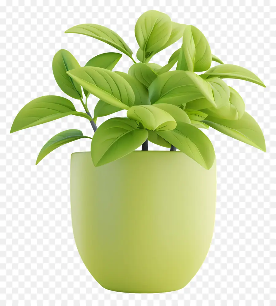 Plante En Pot，Plante Verte En Pot PNG