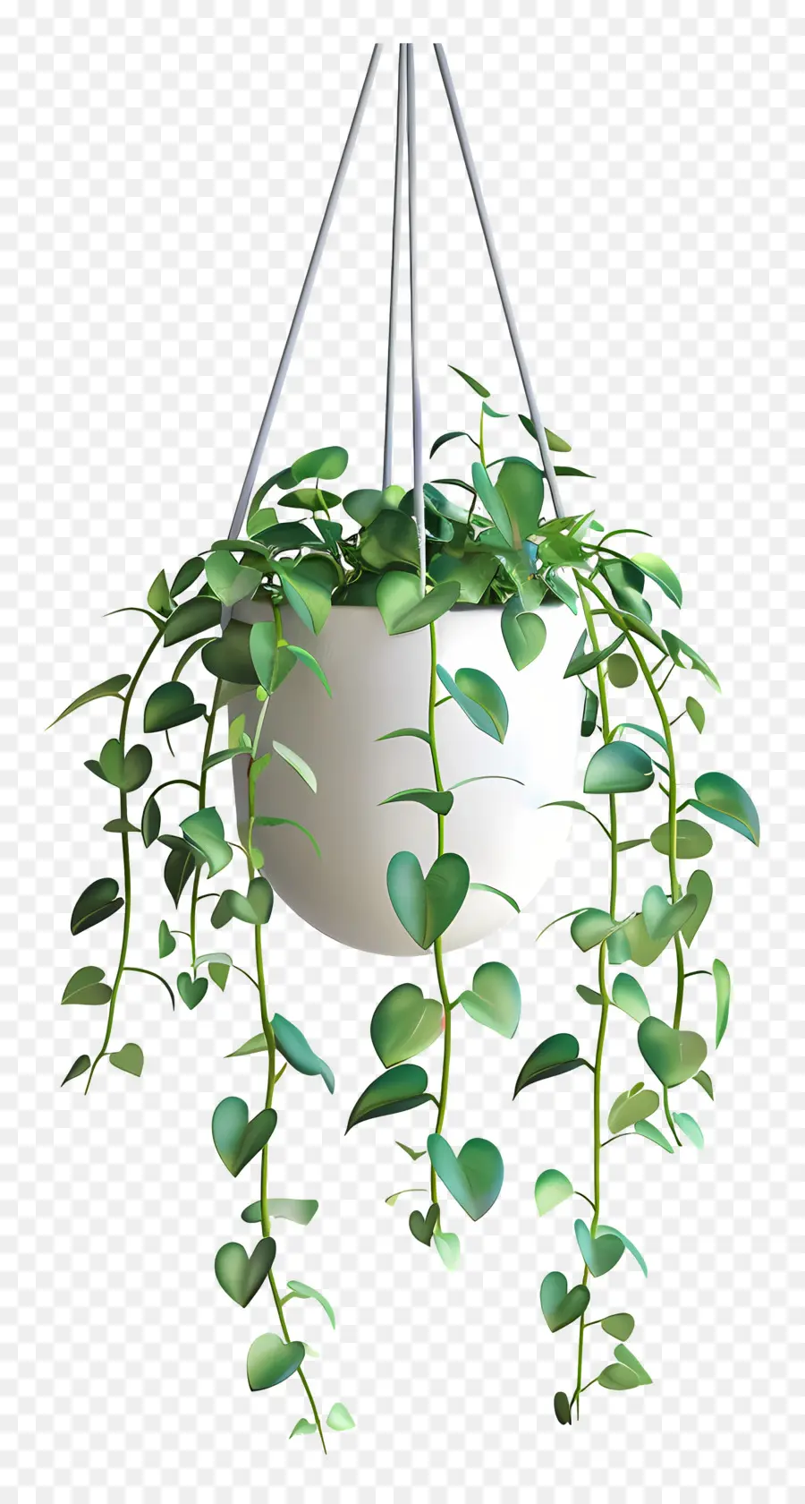 Plante Suspendue，Feuilles PNG