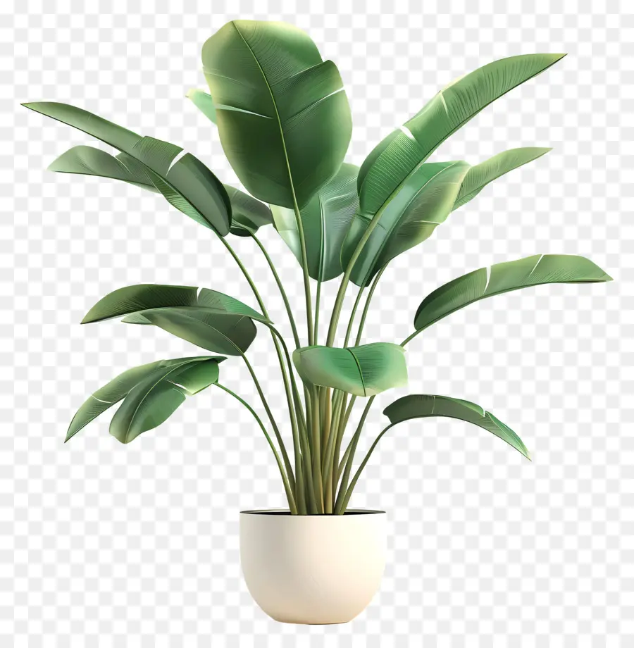 Plante Tropicale En Pot，Plante Verte En Pot PNG