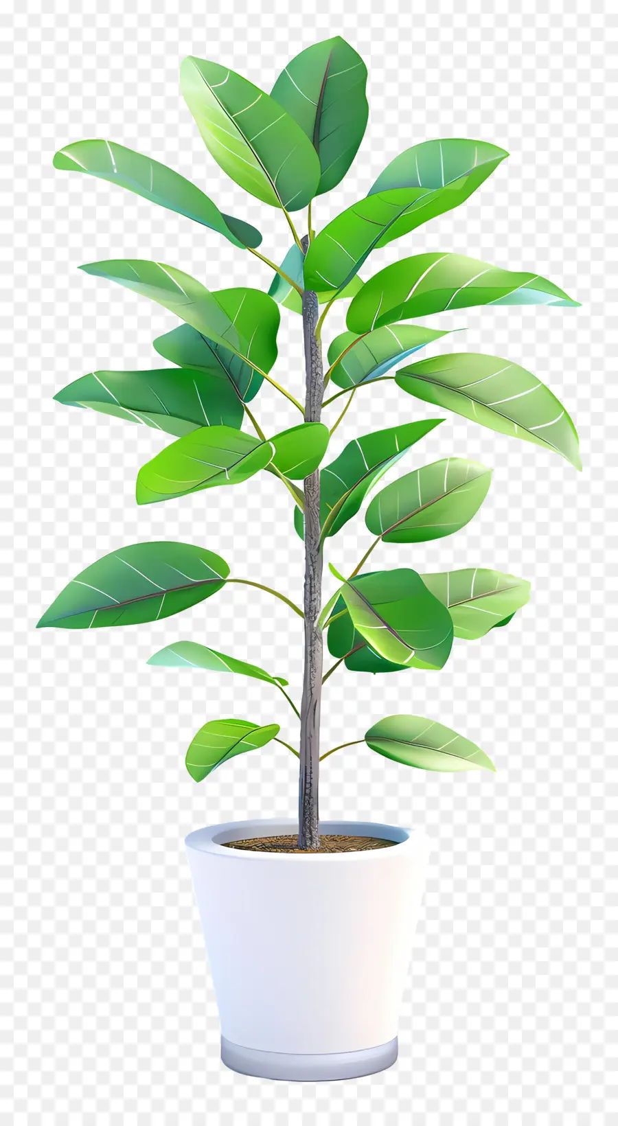 Plante En Pot，Feuilles PNG