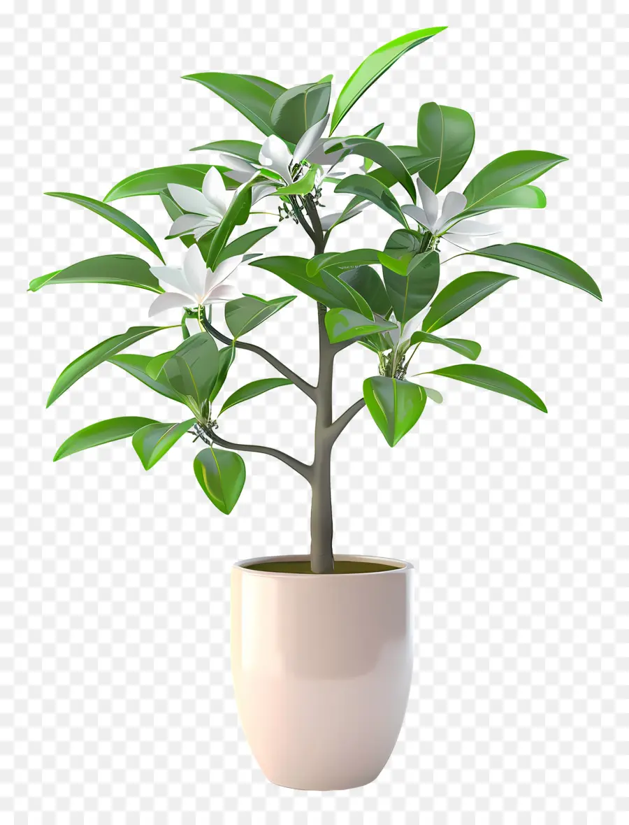 Plante Fleurie En Pot，Plante En Pot PNG