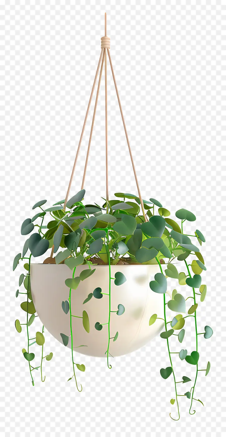 Plante Suspendue，Feuilles PNG