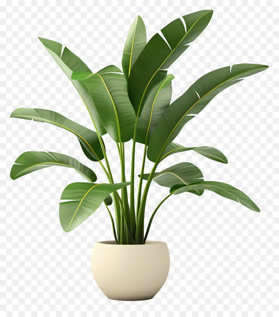 Plante Tropicale En Pot，Plante Verte En Pot PNG