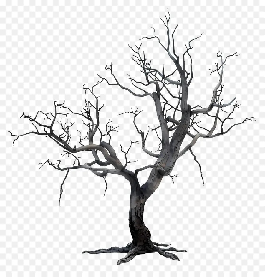 Arbre Mort，Arbre Nu PNG