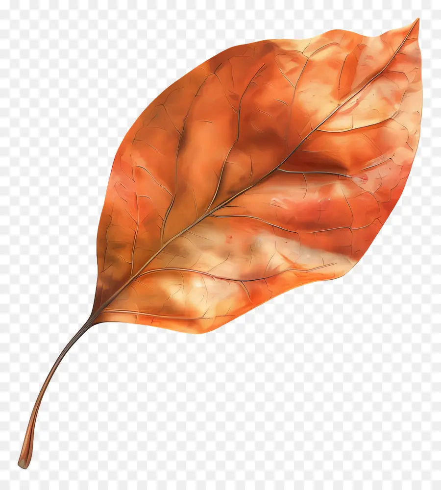 Feuille Morte，Feuille D'automne PNG