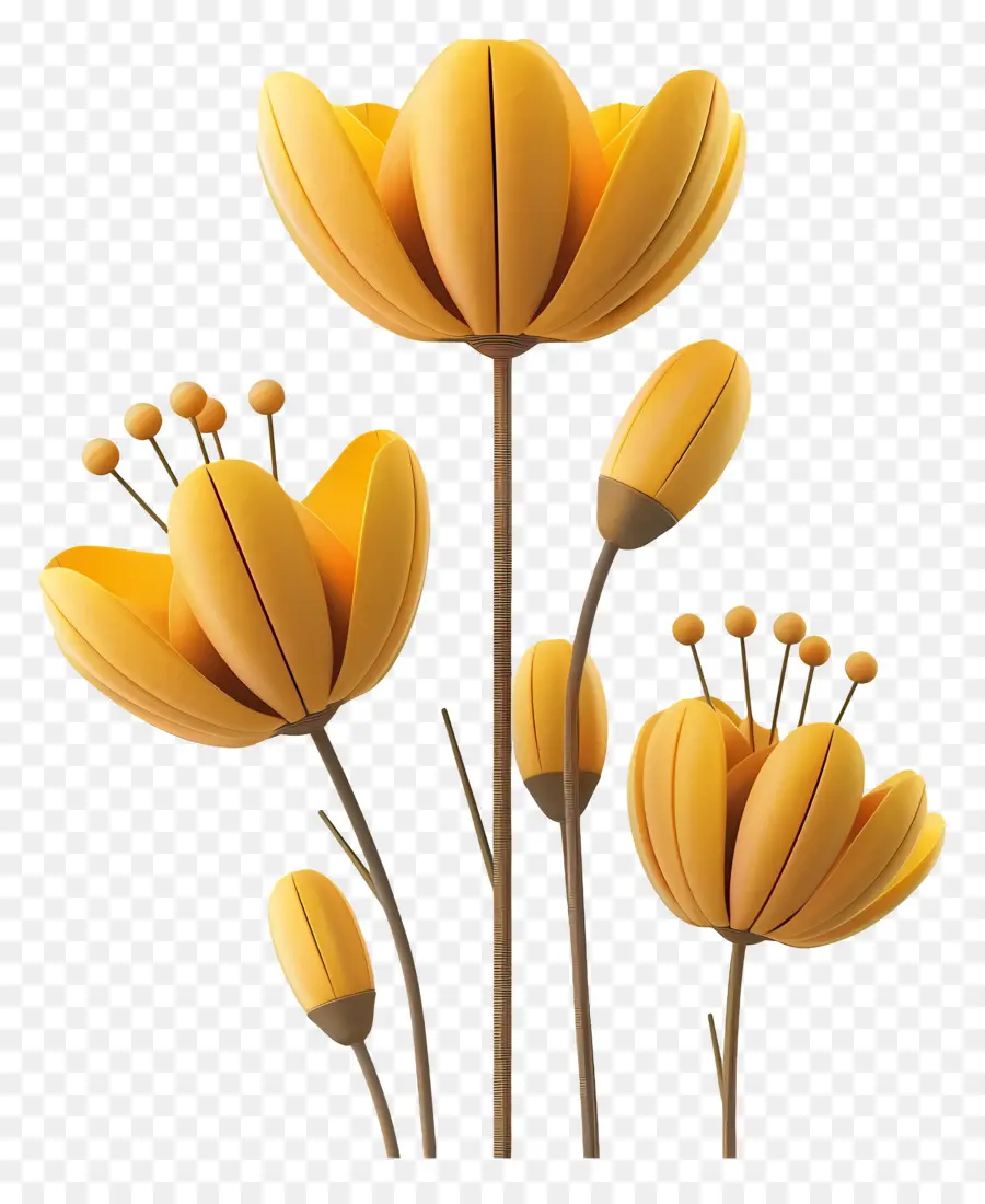 Fleurs Jaunes，Floraison PNG