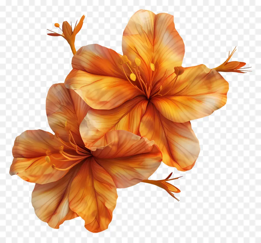 Fleurs De Safran，Fleurs Jaunes PNG