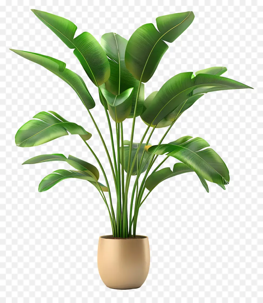 Plante Tropicale En Pot，Plante En Pot PNG