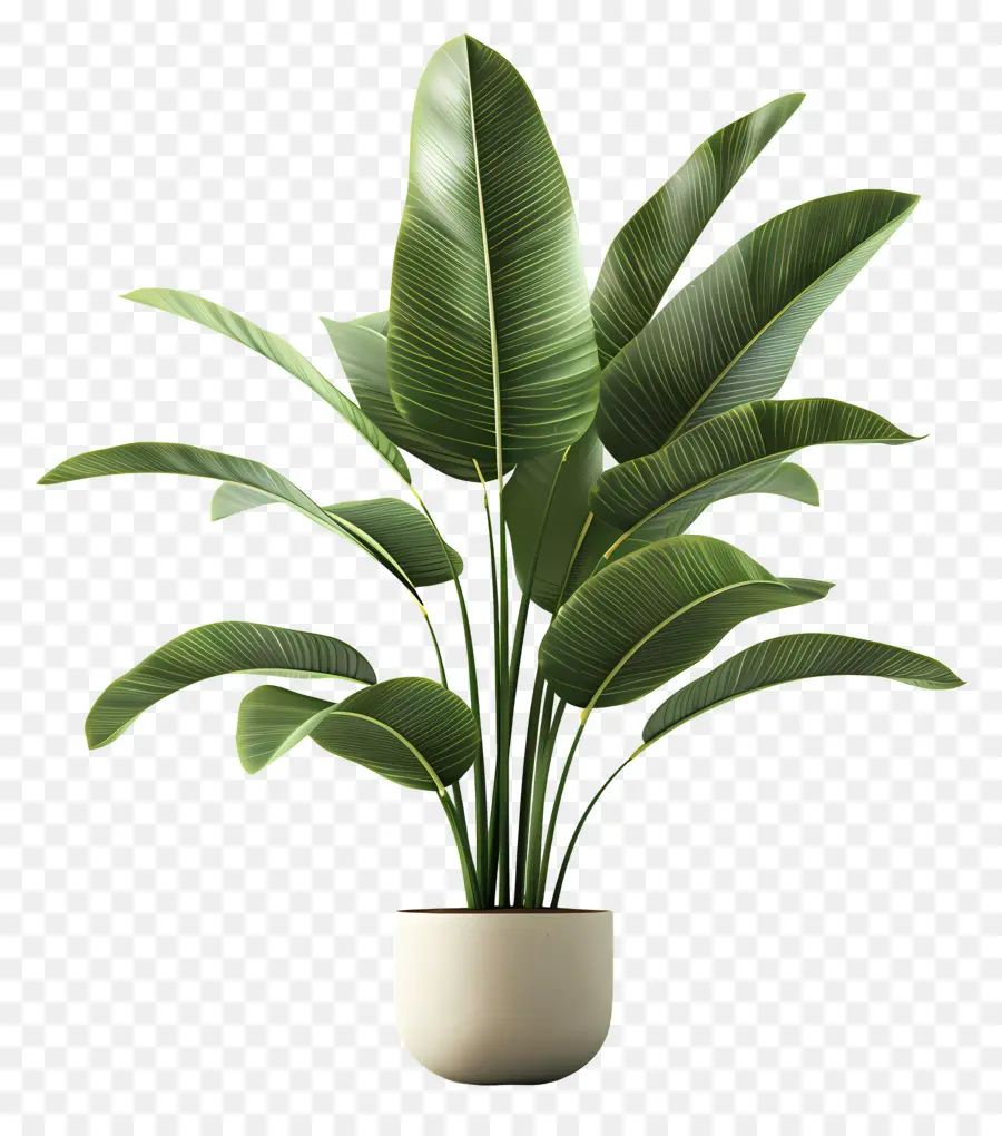 Plante Tropicale En Pot，Plante Verte En Pot PNG