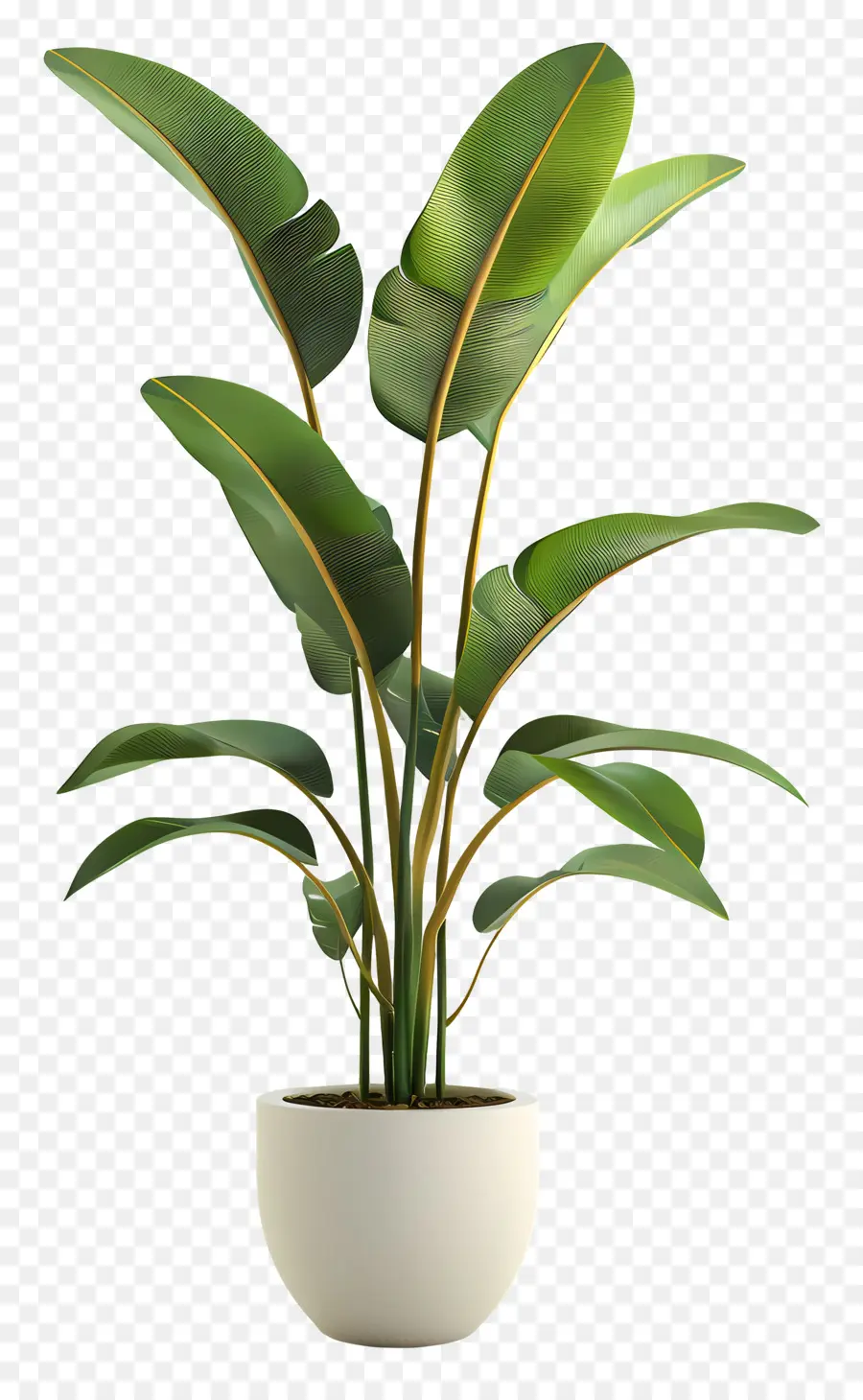 Plante Tropicale En Pot，Plante Verte En Pot PNG