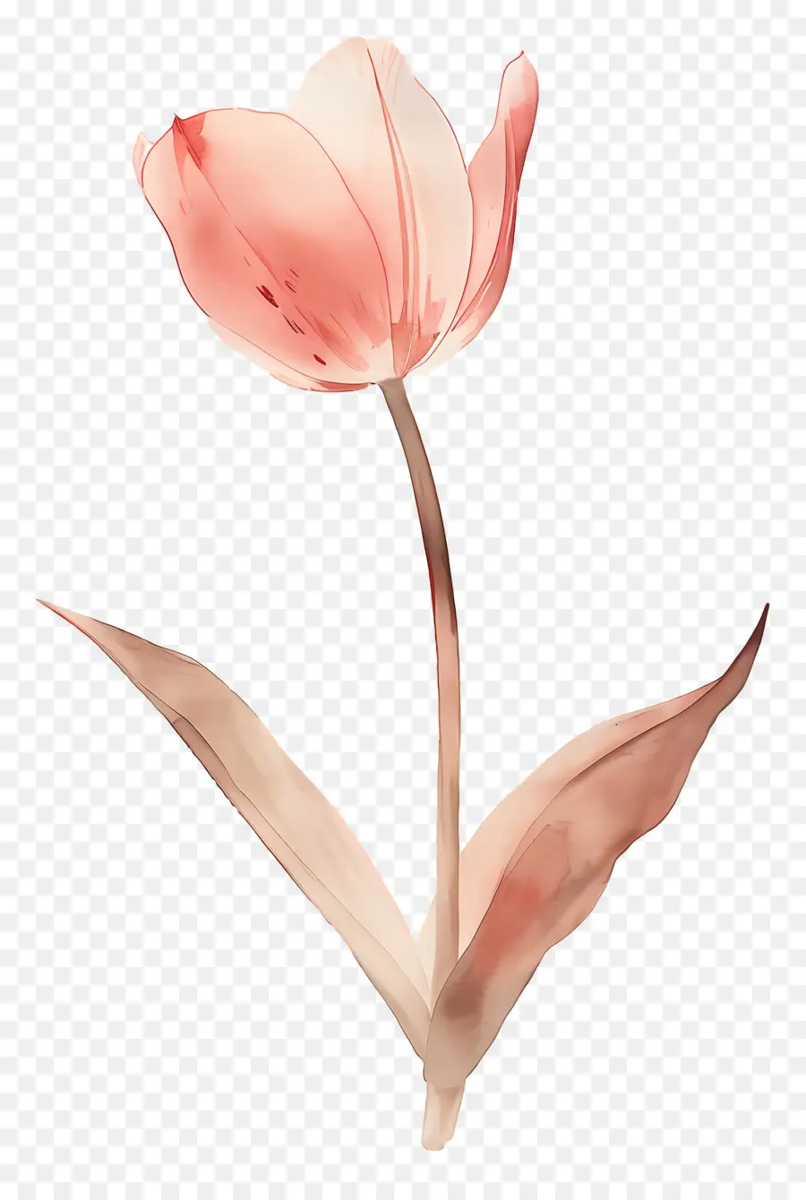 Tulipe，Fleur PNG