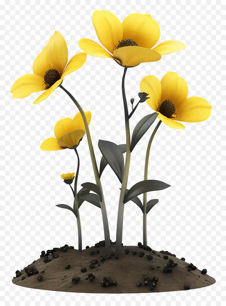 Fleurs Jaunes，Sol PNG