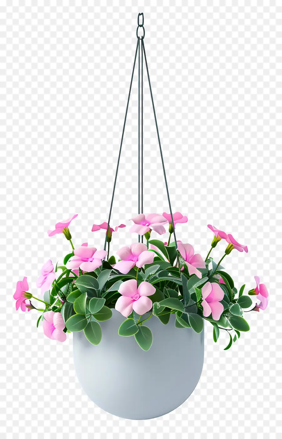 Plante à Fleurs Suspendue，Plante Suspendue PNG