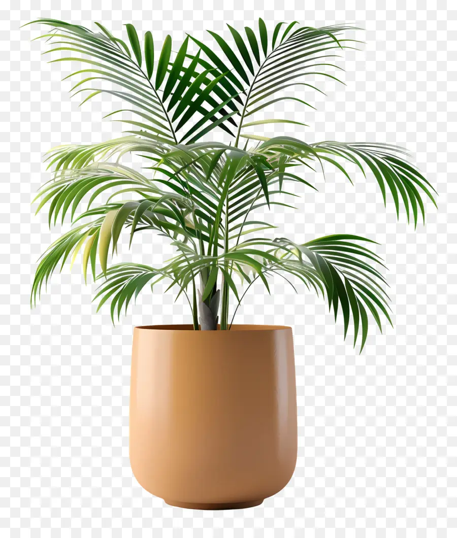 Plante Tropicale En Pot，Plante En Pot PNG