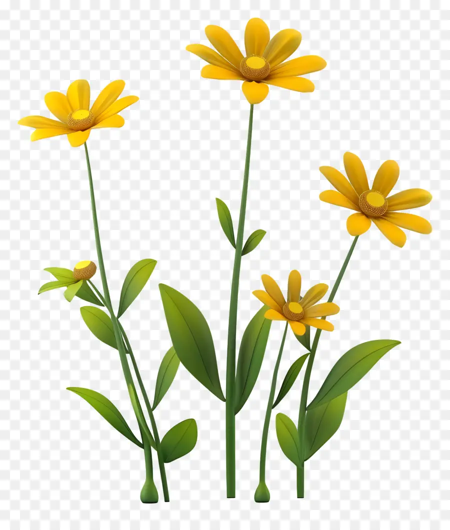 Fleurs Jaunes，Marguerites Simples PNG