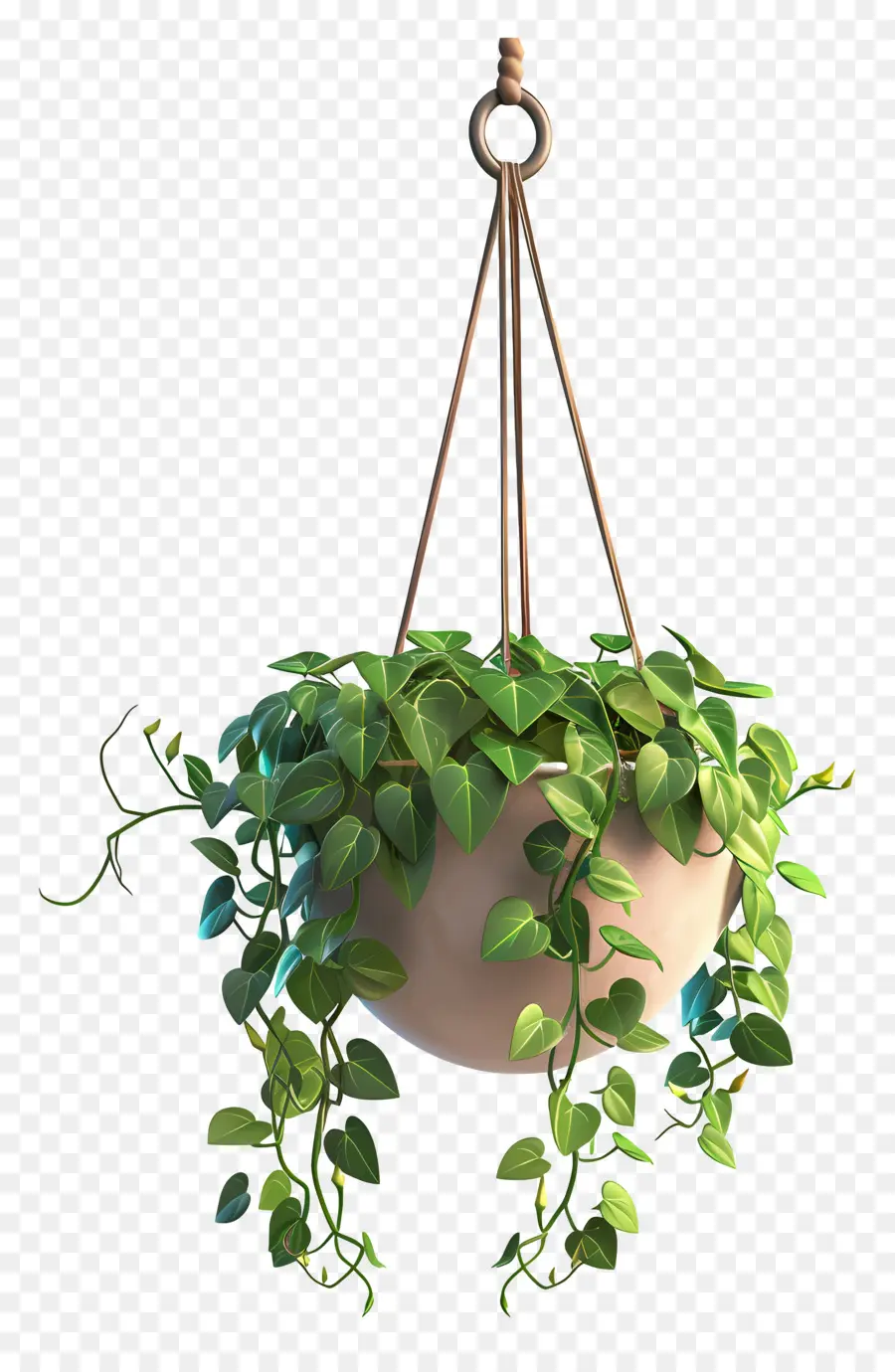 Plante Suspendue，Décoration PNG