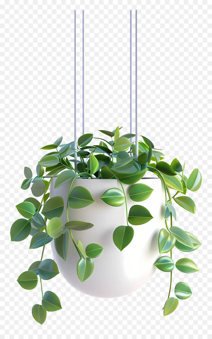 Plante Suspendue，Feuilles PNG