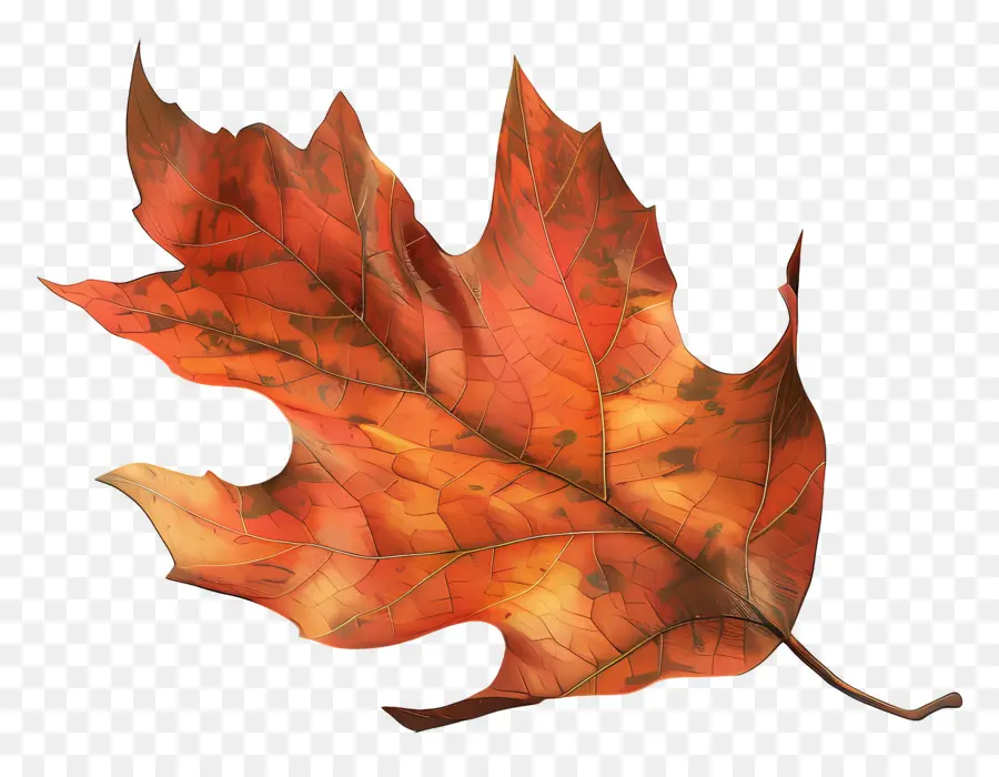 Feuille Morte，Feuille D'automne PNG